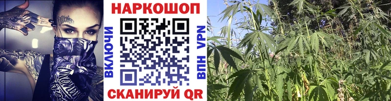 Наркотические вещества Анапа Амфетамин Псилоцибиновые грибы Бошки Шишки Меф