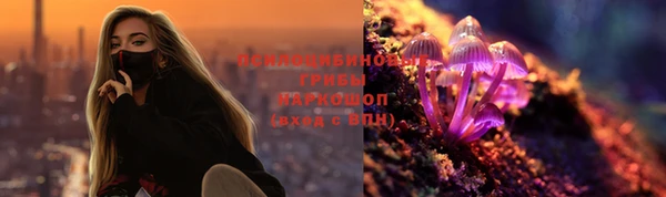 прущая мука Алзамай
